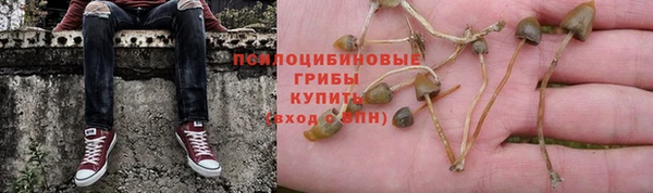 гашик Армянск