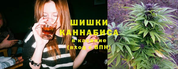 молекула духа Алексеевка