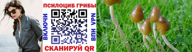 Псилоцибиновые грибы мицелий  Новоульяновск 